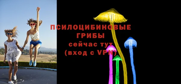 соль ск Алексеевка