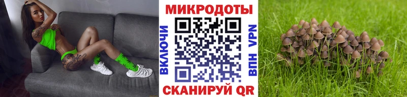 Псилоцибиновые грибы Cubensis Куса
