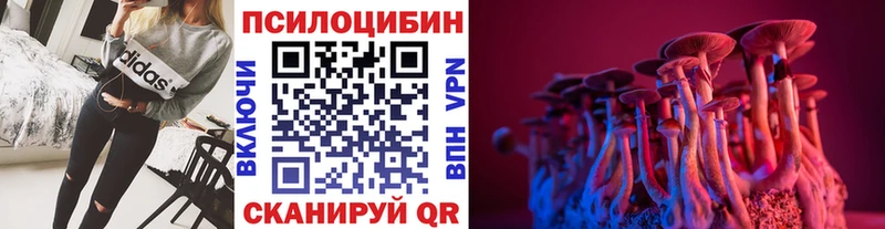 Галлюциногенные грибы Psilocybine cubensis  где продают наркотики  Куса 